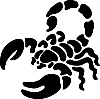 NOCTURA